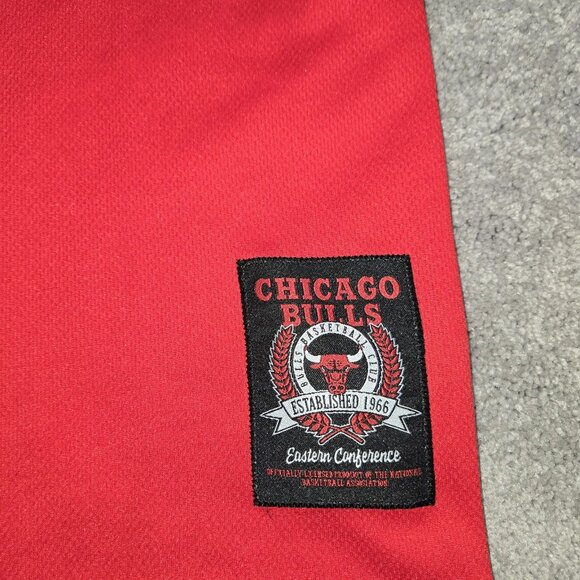 Chicago Bulls Basketball Jersey Mens Large Red 2-Sided Printed Spell Out‎ NBA - Picture 4 of 8